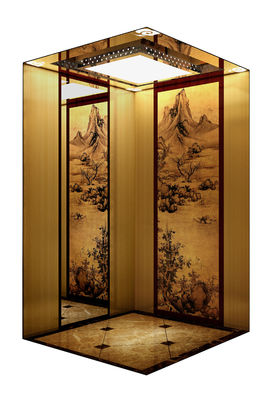 مصعد منزلي، حمولة 320 كجم - 1600 كجم، سرعة 0.4 - 1.0 متر/ثانية